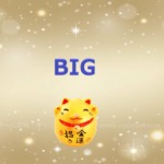 BIGくじの当選結果