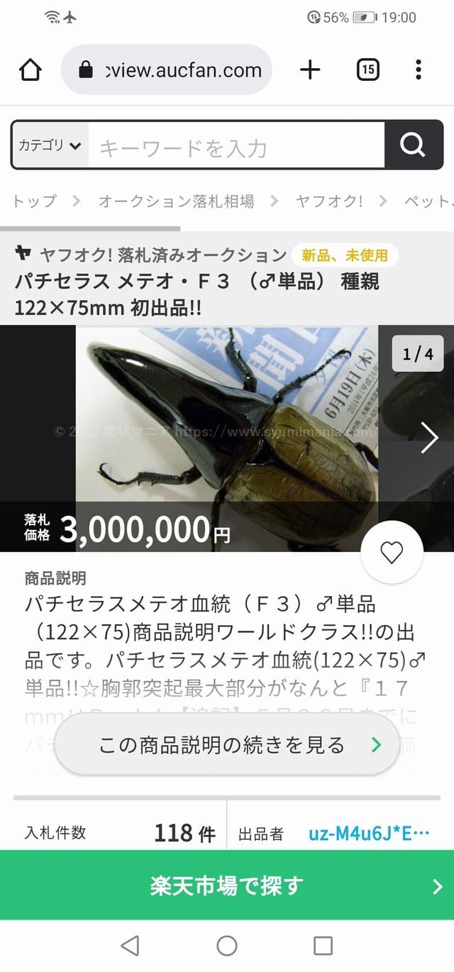 外国産・国産カブトムシの値段ランキング